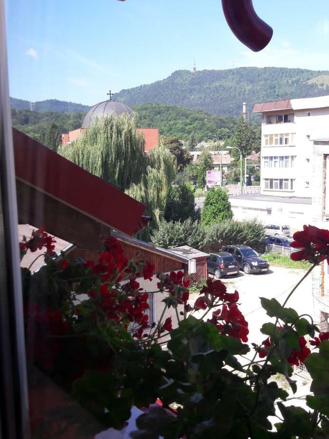 Felicita Apartment Brasov Exterior photo